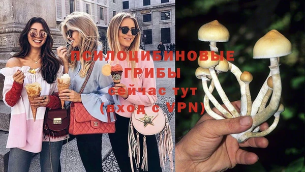 spice Абаза